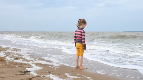 Linda chica mirando las olas en el océano de pie cerca del agua. Una tormenta débil en el mar, viento fuerte y olas. Concepto de vacaciones de verano
. - Metraje, vídeo