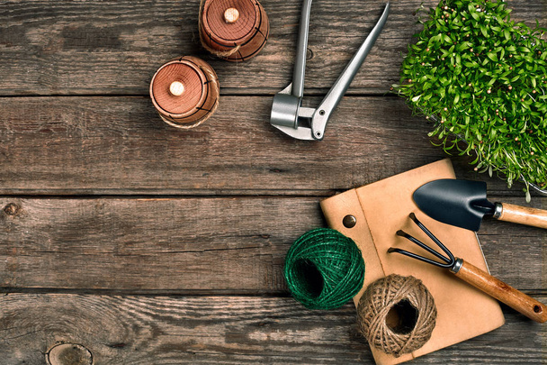 Gardening tools and greenery on wooden table. Spring in the garden - Photo, Image