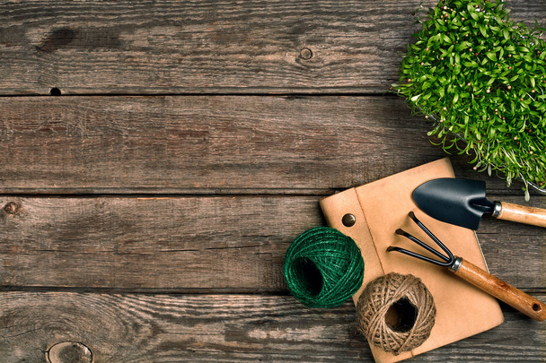Puutarhanhoito työkalut ja vehreys puinen pöytä. Kevät puutarhassa
 - Valokuva, kuva