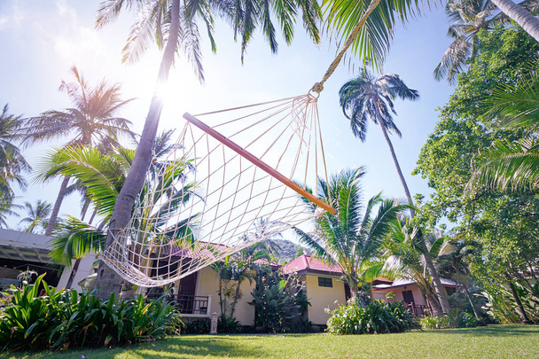 Rope hammock under palm trees. - Foto, imagen