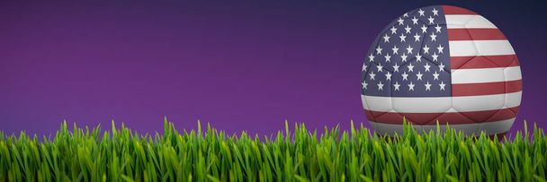 Grass growing outdoors against purple and pink background - Fotoğraf, Görsel