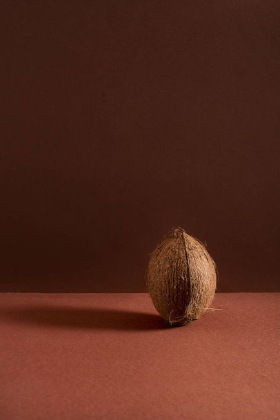 une noix de coco entière
 - Photo, image