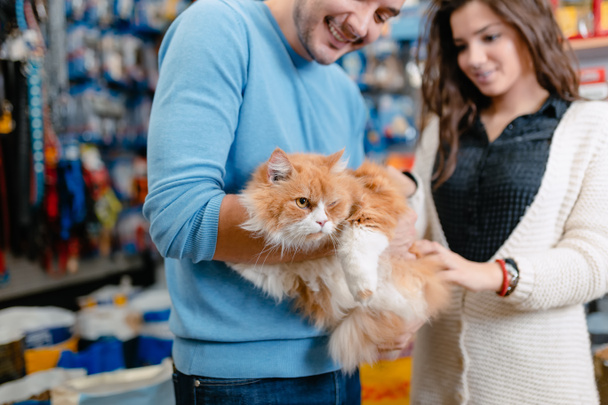 Pareja joven con su gato persa en tienda de mascotas
 - Foto, Imagen