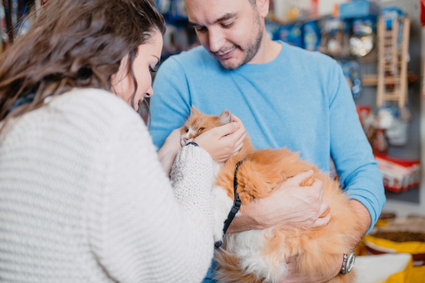 Young couple with their persian cat in pet shop - Foto, afbeelding