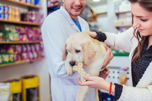 Young woman with her labrador retriever puppy at veterinary. - 写真・画像