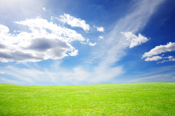 Meadow and beautiful sky during sunlight. Meadow and sky. Natural concept - Photo, Image
