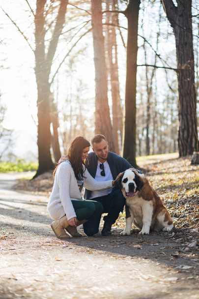 Young couple enjoying together in nature with their Saint Bernard puppy. - Zdjęcie, obraz