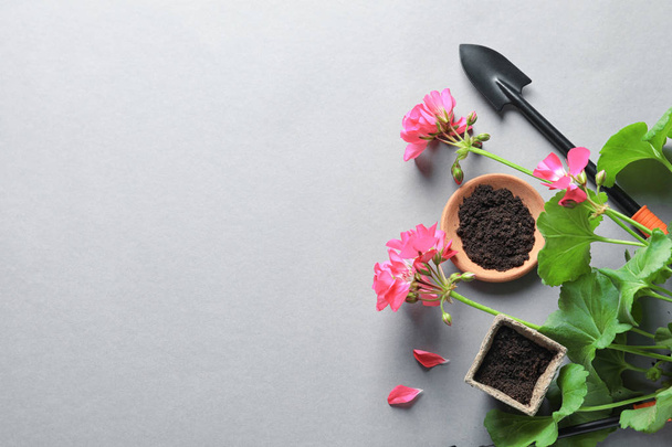 Flat lay composition with gardening tools and plant on grey background - Fotografie, Obrázek