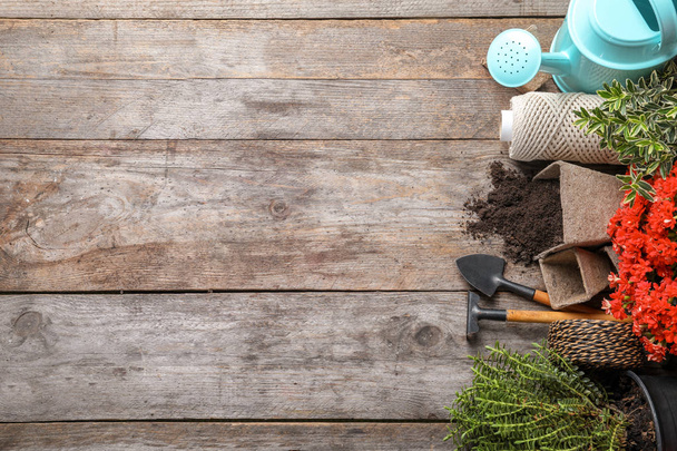 Flat lay composition with gardening tools and plants on wooden background - Foto, immagini