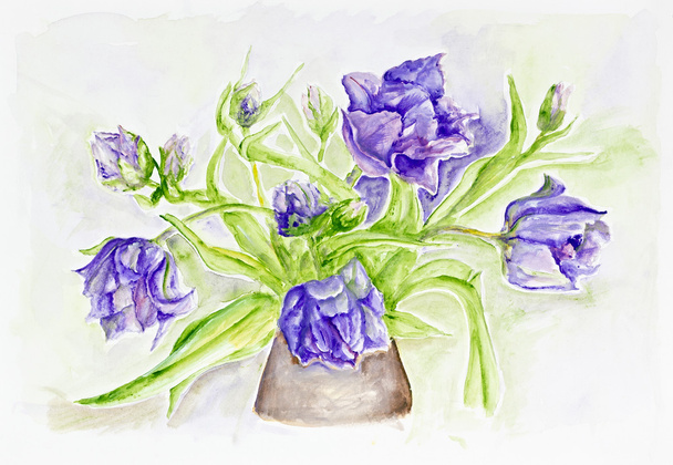 Tulipes bleues rares
 - Photo, image