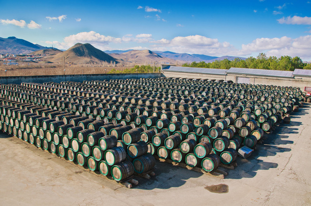 barrels with wine - Photo, Image