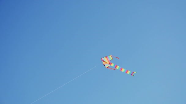 De vlieger zweeft hoog in de heldere blauwe hemel - Video