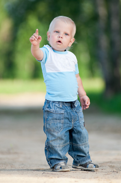 Happy little boy in the green park - Fotografie, Obrázek