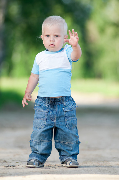 Happy little boy in the green park - Foto, Imagen
