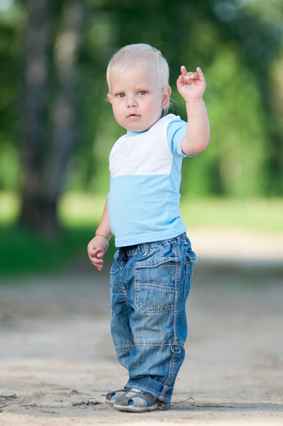 Happy little boy in the green park - Foto, Bild
