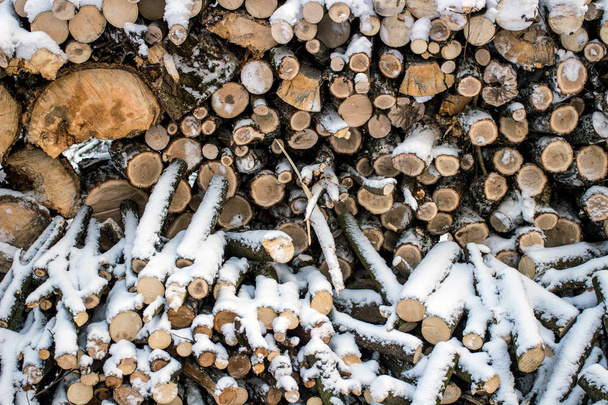 Wall of stacked logs and branches. Firewood in the snow - Foto, afbeelding