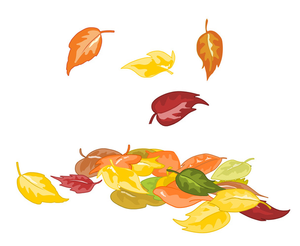 Autumn leaves - ベクター画像