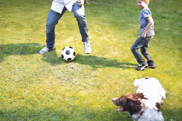 Menino jogando futebol com cão ao ar livre
 - Foto, Imagem