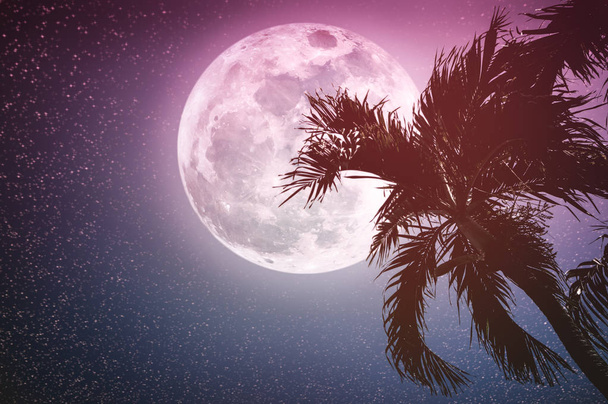Supermoon with many stars. Beautiful night landscape of sky with full moon behind betel palm tree, outdoor in gloaming time. Serenity nature background. Vintage tone. The moon taken with my camera. - Photo, Image