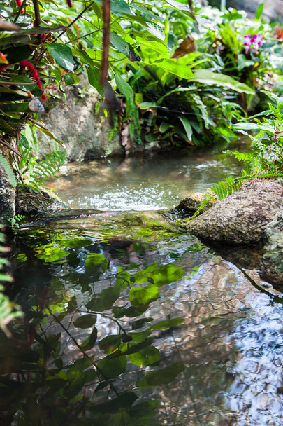 small stream, flowing in a garden at Thailand. - Fotoğraf, Görsel