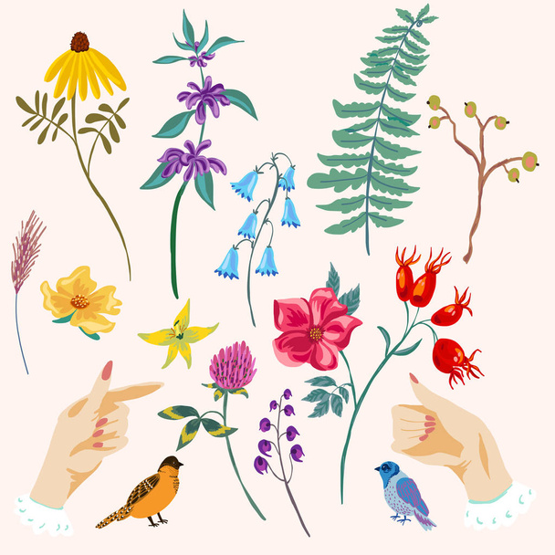 Roztomilý dekorativní sada ruce a květiny - Vektor, obrázek