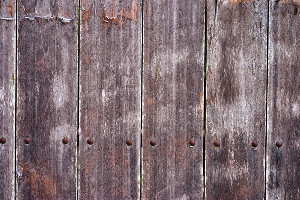 close-up view of Wooden deck textured background - Foto, afbeelding