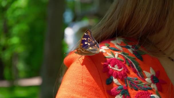 Motyl siada na ramieniu młoda dziewczyna, piękny motyl odpoczynku przed kolejnym lotem - Materiał filmowy, wideo