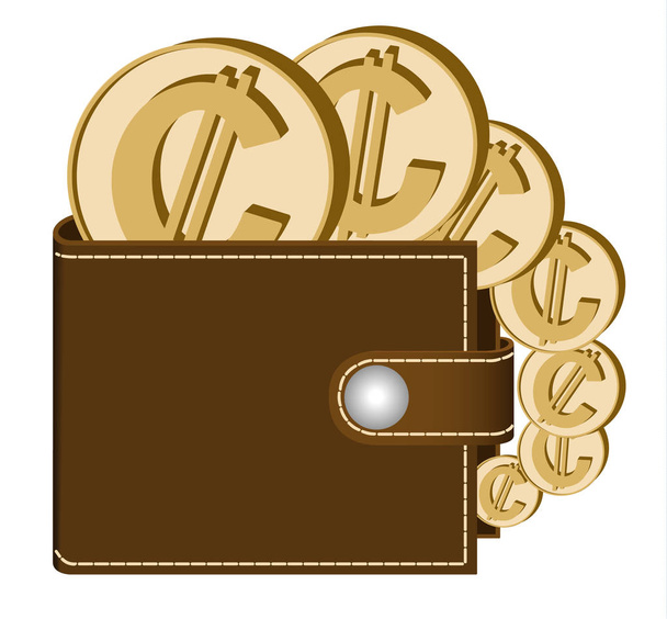 brown  wallet with colon coins - Vecteur, image
