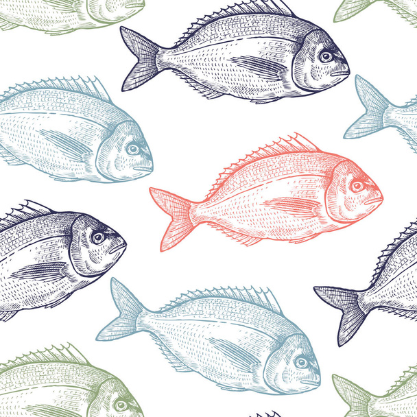 Seamless vector pattern with animals under water. Colored fish on white background. Vintage engraving art. Black and Pink hand drawing sketch. Kitchen design with seafood for paper, wrapping, fabrics - ベクター画像