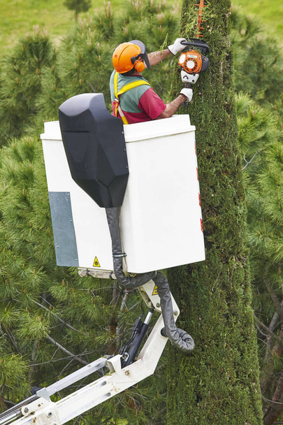 Оснащенный рабочий, обрезающий дерево на кране. Садоводческие работы
 - Фото, изображение
