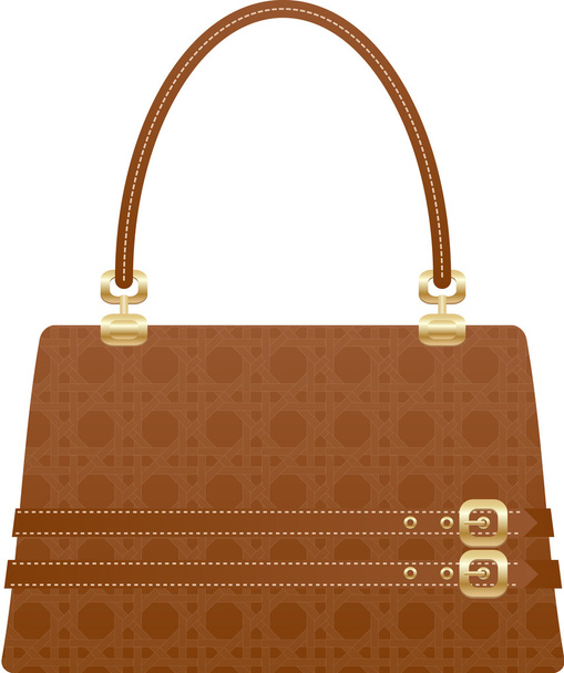 beautiful handbag purse - Vector, Image