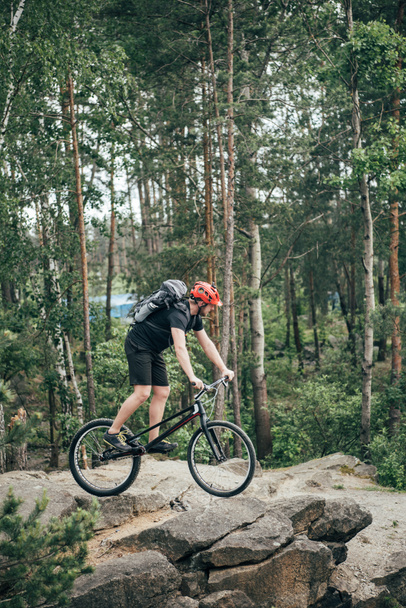 male extreme cyclist in protective helmet riding on mountain bicycle in forest - Photo, Image