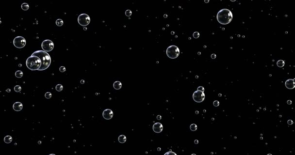 animación 3d de burbujas en movimiento y flotando sobre un fondo negro
 - Metraje, vídeo