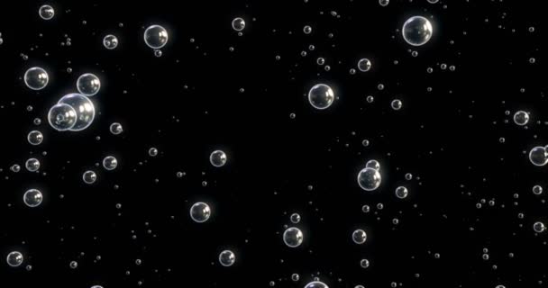 3d animation of bubbles moving and floating on a black background - Footage, Video