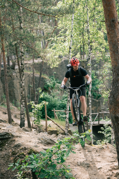 male extreme cyclist in protective helmet balancing on back wheel of mountain bicycle in forest - Photo, Image