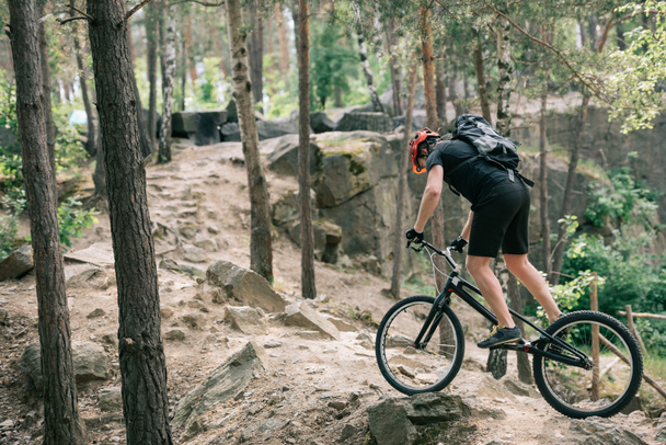 vista lateral del ciclista extremo masculino en casco protector montado en bicicleta de montaña en el bosque
 - Foto, Imagen