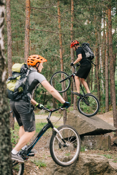 jóvenes ciclistas de trial se divierten en el bosque de pinos
 - Foto, imagen