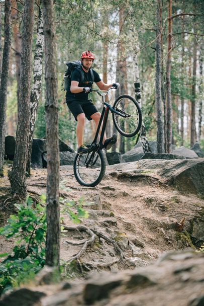 молодой экстремальный велосипедист в защитном шлеме балансирует на заднем колесе горного велосипеда в лесу
 - Фото, изображение