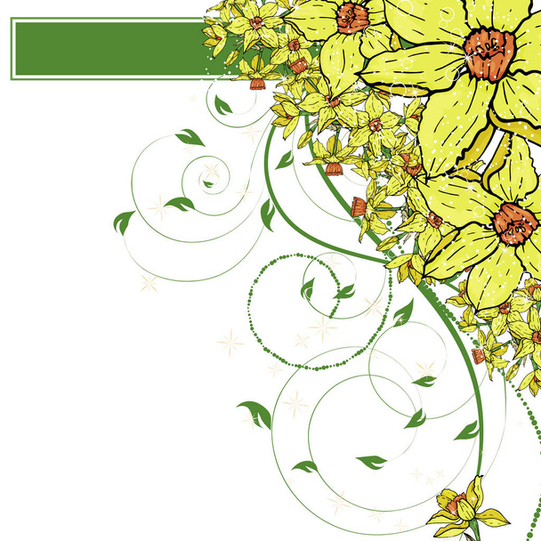  Vector hand drawing  Narcissus flowers background - Vector, Image