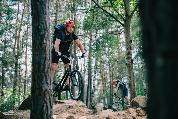 extrema jóvenes ciclistas de trial a caballo en el hermoso bosque de pinos
 - Foto, imagen