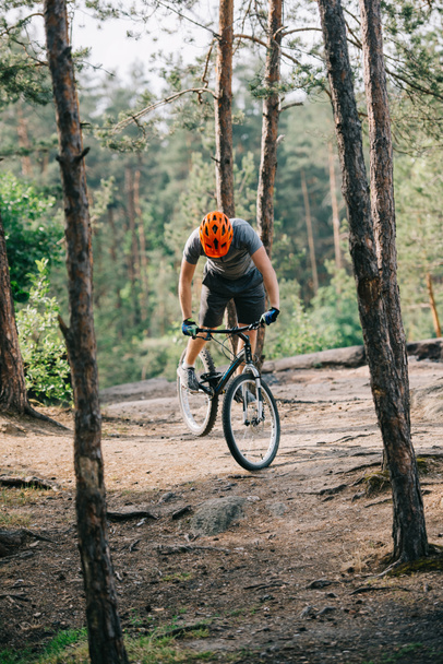 vista frontal del ciclista extremo masculino en casco protector haciendo acrobacias en bicicleta de montaña en el bosque
 - Foto, imagen