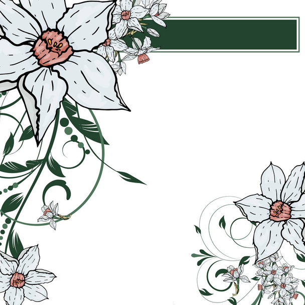  Vector hand drawing  Narcissus flowers background - Vector, Image