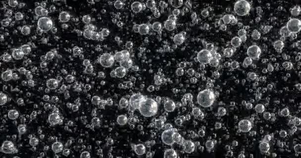 Animation 3D de bulles se déplaçant et flottant sur un fond noir - Séquence, vidéo