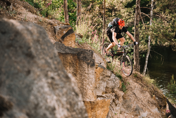 young trial biker riding downhill outdoors in pine forest - Photo, Image