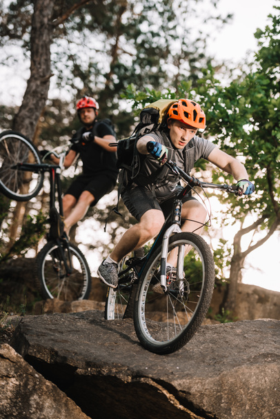 νέοι δίκη ποδηλάτες ιππασίας στα βράχια στο πευκόφυτο δάσος - Φωτογραφία, εικόνα