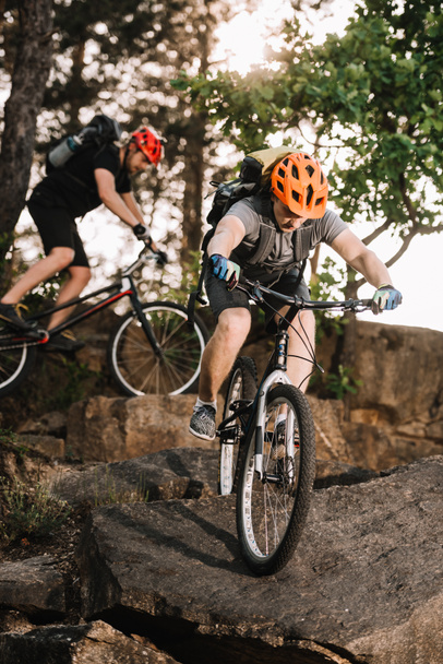 молодые велосипедисты, скачущие по скалам в сосновом лесу
 - Фото, изображение