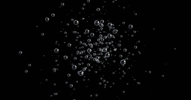 3D animacja pęcherzyków ruchomych i pływających na czarnym tle - Materiał filmowy, wideo