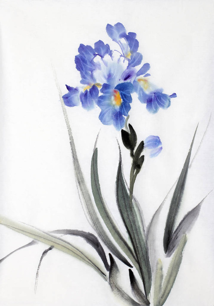 bright iris flower painted in chinese style - Φωτογραφία, εικόνα