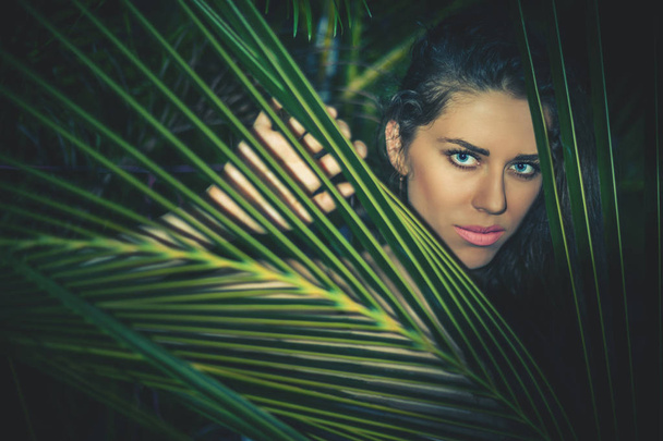 Summer Portrait of Young Sexy Woman Through Palm Tree - 写真・画像