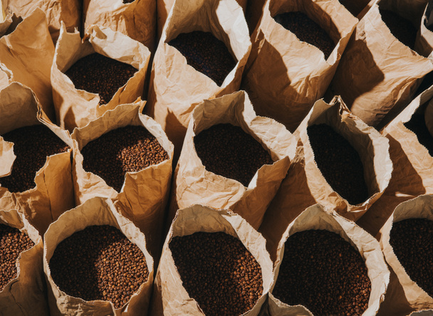 Craft paper bags with freshly roasted coffee beans - Foto, immagini